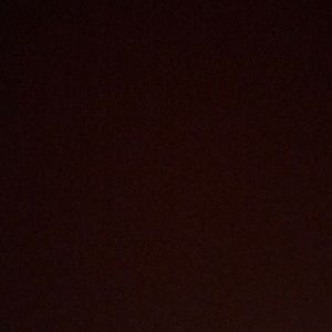 Meet your Posher, Sheena